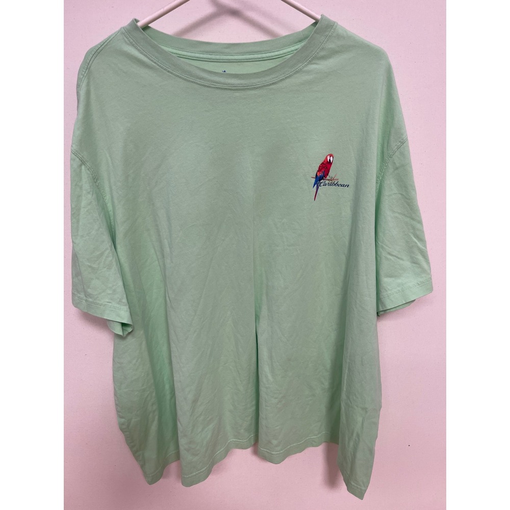 Caribbean Resting Beach Face Parrot Graphic T-Shirt Mint Green Mens 3XB Cotton